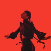 Танец страсти: искусство в движении :: Джованни Луче