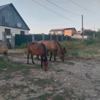 Talgar. :: Murat Bukaev 