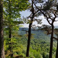 ЛАГОНАКИ :: Tata Wolf ЛАГОНАКИ :: Tata Wolf