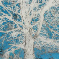 Назва. отсу. :: Денис Безногов