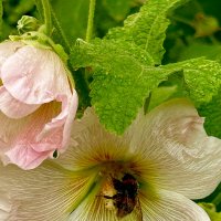 Полное погружение :: Oleg4618 Шутченко