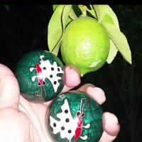 112 (83) :: СТРЕН 