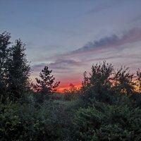 Июльский вечер :: Ирэн 