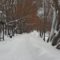 Городской парк :: Игорь Белоногов Городской парк :: Игорь Белоногов