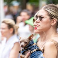 С собачкой :: Александр 