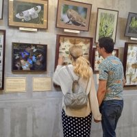 Выставка бабочек :: dindin 