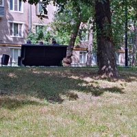 Разговор... :: Владимир Драгунский Разговор... :: Владимир Драгунский