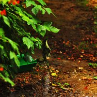 Пасмурно... :: Юрий Гайворонскiий