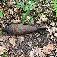 В лесу. От чёрных копателей. :: Валерия Комова