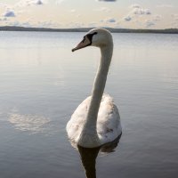 Себеж :: skijumper Иванов