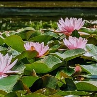 *** :: Хэлен *** *** :: Хэлен ***