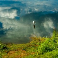 Природа :: А кузнецов