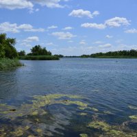 **** :: Виктор **** :: Виктор