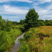 Родные просторы :: Андрей Дворников