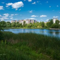 На берегу Мещерского озера :: Александр Синдерёв