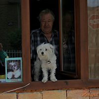 Незнакомец с собакой :: Аркадий Басович