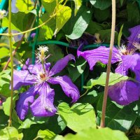 ,,, :: Сергей Тимоновский