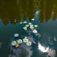 Немного солнца в холодной воде (с). :: Галина Бобкина