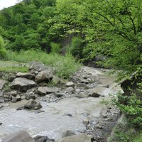 *** :: Марина Виноградова