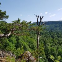 ЛАГОНАКИ :: Tata Wolf ЛАГОНАКИ :: Tata Wolf