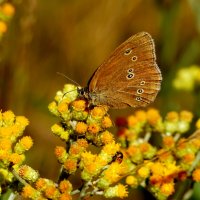 из сегодняшней съемки  1 :: Александр Прокудин