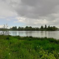 Стрельна. Орловский пруд :: Наталья Герасимова