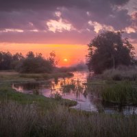 **** :: Елизавета .