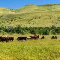 Окрестности :: Игорь Сикорский Окрестности :: Игорь Сикорский