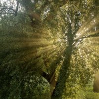 * :: k-e-r-g-u-d-u DM