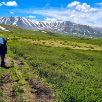 Зелёный :: Виктор Фоменко