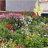 Летнее разноцветье. :: Валерия Комова Летнее разноцветье. :: Валерия Комова