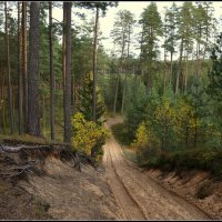 Места охоты :: Aleksandr Gal