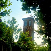 Отдых на донской земле (6) :: Тамара (st.tamara)