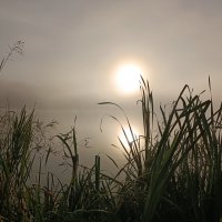 На рыбалке :: Sergei Vikulov На рыбалке :: Sergei Vikulov