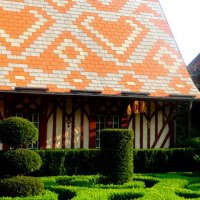 Отдых на донской земле (8)... :: Тамара (st.tamara)