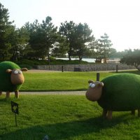 Отдых на донской земле (9)... :: Тамара (st.tamara)