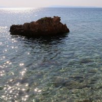 солнечные "зайчики" :: Светлана Баталий