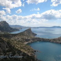 Природа Крыма :: Amazing Cosmea