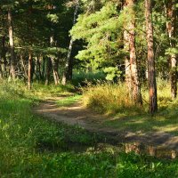 Тропинка :: Геннадий Супрун Тропинка :: Геннадий Супрун