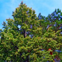 ЛЕТО :: Юрий Владимирович 34 ЛЕТО :: Юрий Владимирович 34