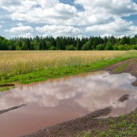 Про июль... :: Андрей Заломленков