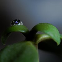 Дружба. Часть вторая. :: Галина 