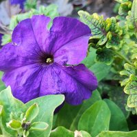 ,,, :: Сергей Тимоновский