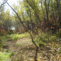 У протоки :: Anna Ivanova