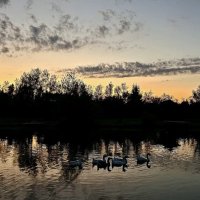 Закат на пруду :: Михаил Свиденцов