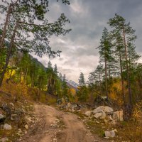 *** :: Аnatoly Gaponenko