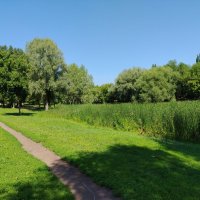 Тропинка :: Надежда Тропинка :: Надежда