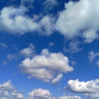 Красота природы :: светлана льдокова