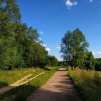 Потому, что лето :: Андрей Лукьянов