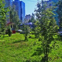 Июль...В сквере по улице Мира! :: Владимир Июль...В сквере по улице Мира! :: Владимир